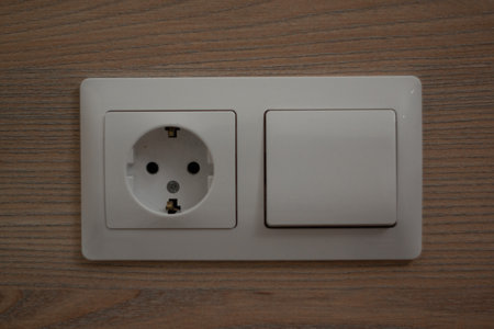 socket and switch on the same panel on the wall