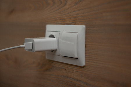 A switch and a socket with a phone charger are fixed on the wooden wall