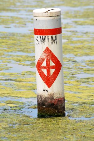 Swim buoy surrounded by weeds and algaeの写真素材