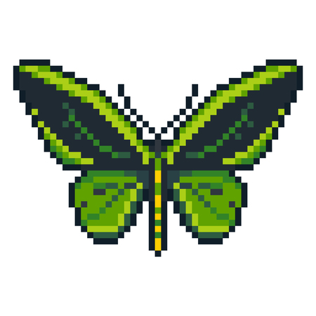 Pixel art vector cape birdwing butterfly isolated on white background.のイラスト素材