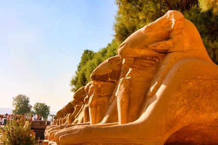 Ram statues at Karnakの写真素材