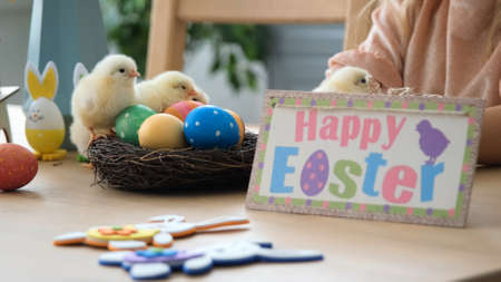 Closeup of Little Girl Playing with Cute Chickens while Sitting at Table with Easter Decorations in...