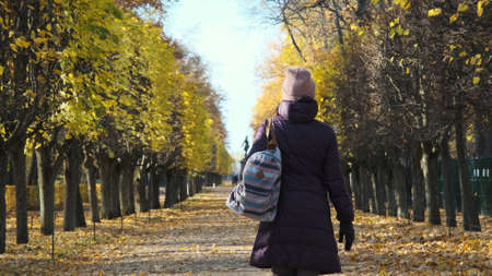 Back view of young woman tourist on beautiful alley in autumn park. Fall season conceptの写真素材