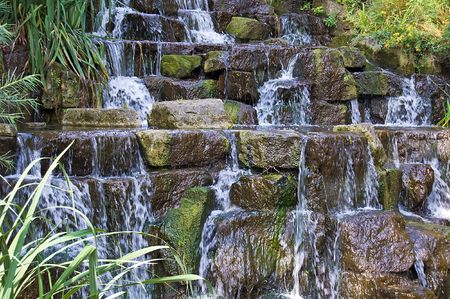 Small waterfall with lots of vegetation