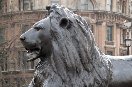 Metal sculpture of a lion in Trafalgar Square, Londonの写真素材