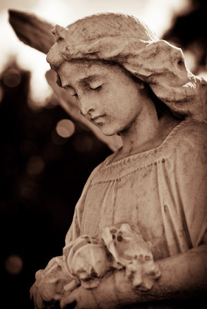 Weathered young angel in sepia tonesの写真素材