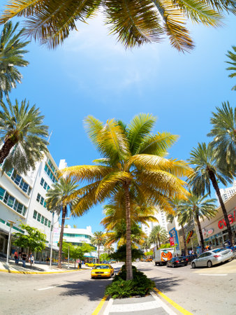 The Lincoln Road shopping boulevard in Miami Beachのeditorial素材