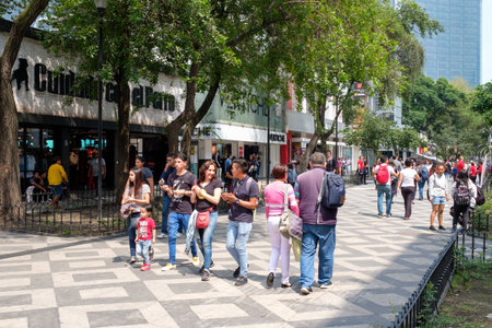 Zona Rosa, a cosmopolitan neighborhood in Mexico City, well known for its restaurants,bars and...