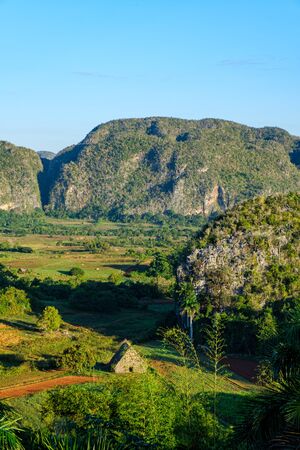 The ViÃ±ales valley in Cuba, famous for its mountains and its tobacco plantationsの写真素材