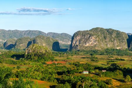 The ViÃ±ales valley in Cuba, famous for its mountains and its tobacco plantationsの写真素材