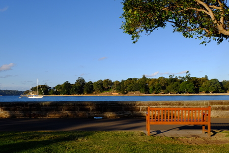 The chair in the garden where it is beside by the sea.の写真素材