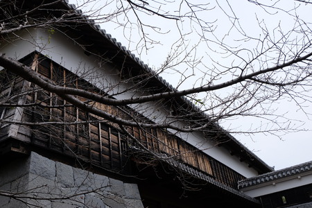 The fall leaves in front of the Japanese castle when autumn was passed.の写真素材