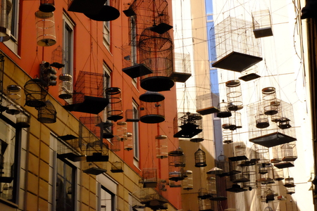 Decorative bird cages in the middle building.の写真素材