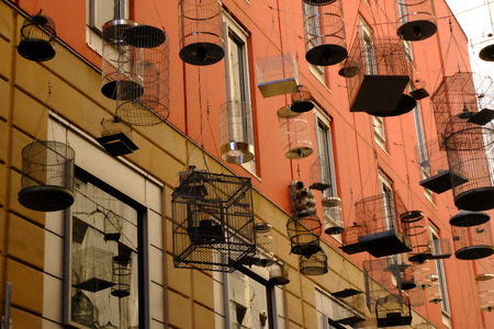 Bird cages suspended in the air.の写真素材