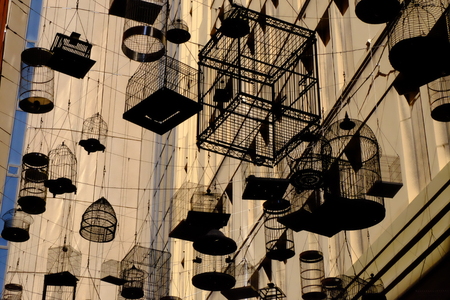 The shadow of bird cages suspended in middle air.の写真素材