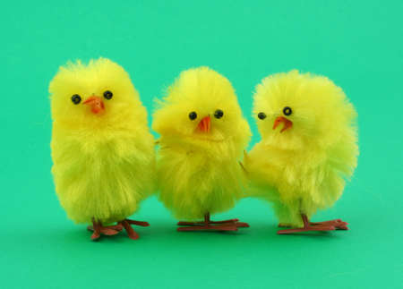 three easter toy chickens on greenの写真素材