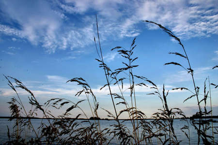 evening rushesの写真素材