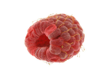 single raspberry  on white