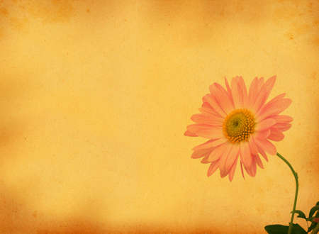 retro background with flower motiveの写真素材