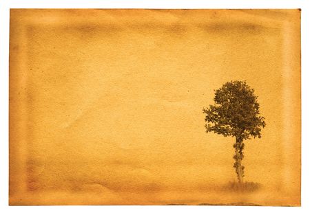 old paper page with lonely tree motive isolated on white backgroundの写真素材