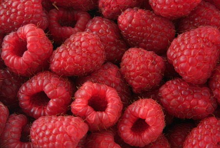 background made of beautiful ripe juicy raspberries