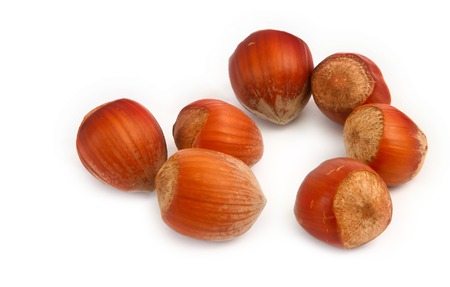 group of hazelnuts on white backgroundの写真素材
