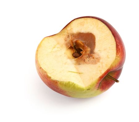 half of a rotten apple against white background, shadow at the left sideの写真素材