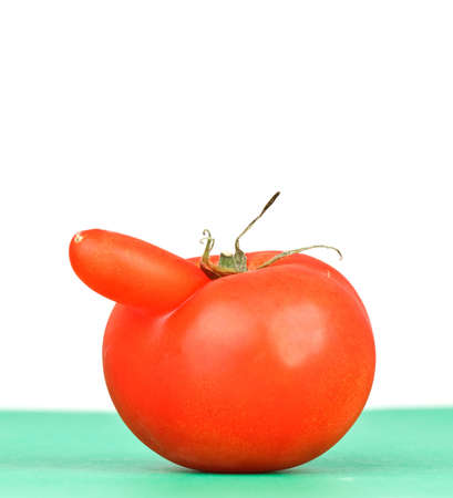 funny shaped red tomato on white backgroundの写真素材