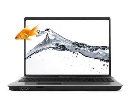 goldfish jumping out of the notebook, isolated on whiteの写真素材