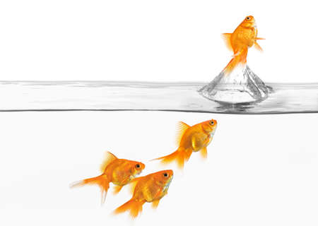 concept of the great escapeの写真素材