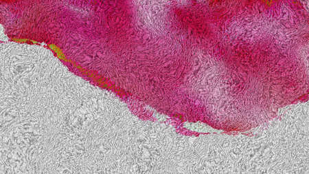 Pink and Grey Woolen Fabric Backgroundの写真素材