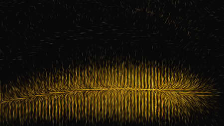 Orange and Black Background Texture