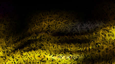 Green and Black Textured Background