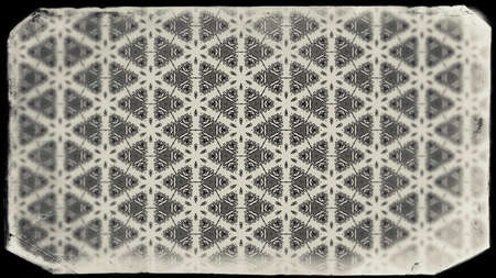 Black and Brown Vintage Floral Ornament Wallpaper Pattern Graphic