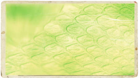 Green and Yellow Antique Background Image