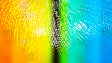 Abstract Colorful Background Illustration