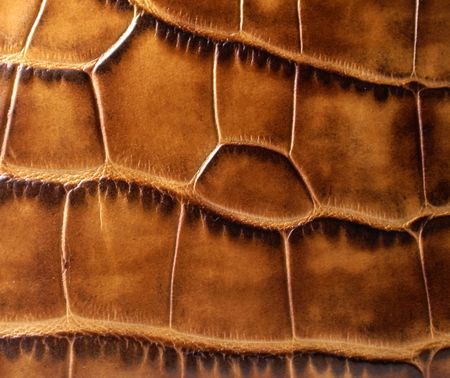 leather texture on a wallet