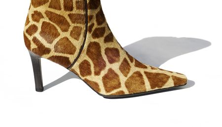 a high heel boot made of giraffe skinの写真素材