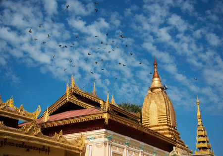Buddhist flag