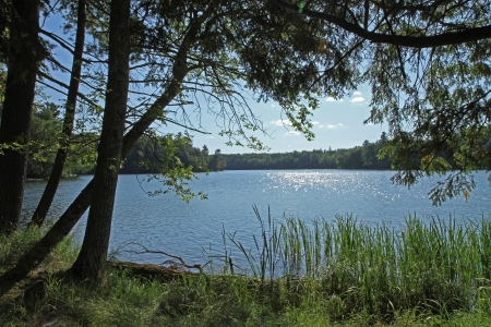 Wilderness Lake Framed by Trees with Bright Sunshineの写真素材