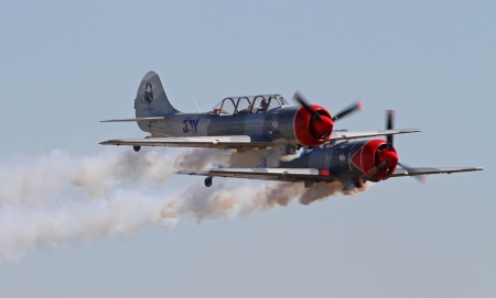 Monroe, North Carolina - November 10, 2013 - Two Aerobatic Aircraft Performing during Warbirds Over Monroe Air Show in Monroe, NC  のeditorial素材