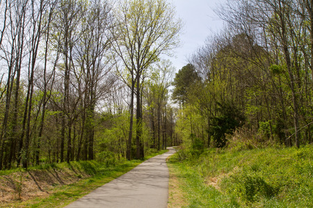 A hiking trail through a wooded natural area.の写真素材
