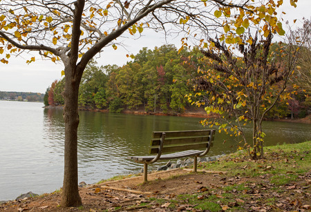 Park bench along a lake shoreの写真素材