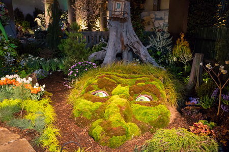 CHARLOTTE, NC - February 28, 2016:  A display of landscape architecture with dramatic night lighting at the Southern Spring Home  Garden Show.のeditorial素材