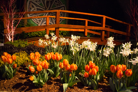 CHARLOTTE, NC - February 28, 2016:  A display of landscape architecture with dramatic night lighting at the Southern Spring Home  Garden Show.のeditorial素材