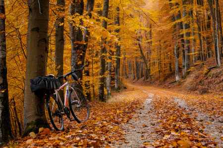 A bicycle with a rear carrier stands beside a leaf-covered path, surrounded by the golden hues of an autumn forest.の素材