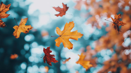 A leaf is flying in the air with other leaves. The leaves are orange and yellow. The sky is blueの素材