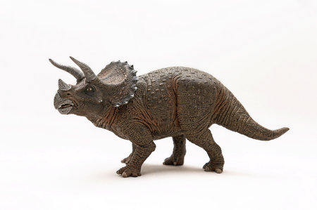 Triceratops Dinosaur Toy isolated on White background. Realistic Triceratops Dinosaur Figurineの写真素材
