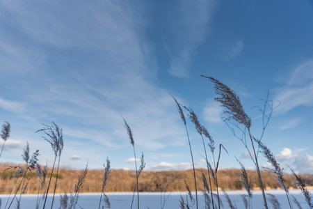 Winter scenery in Tomakomai, Hokkaidoの写真素材