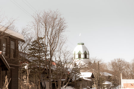 Winter Scenery of Hokkaido Kaitaku no Mura in Ebetsu, Japanの写真素材
